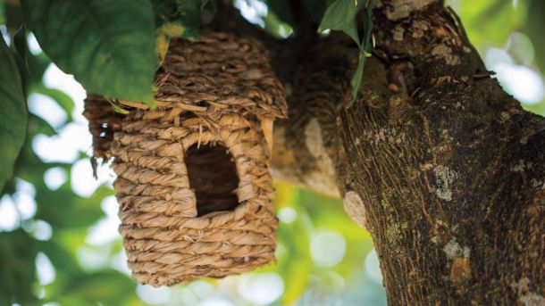 Alojamientos rurales en Ibiza con el ambiente que necesitas